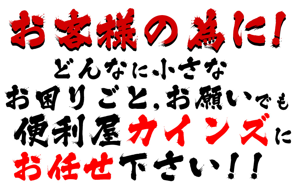 便利屋カインズ 便利屋カインズは千葉県 白井市を中心に営業している便利屋 何でも屋です 不用品回収や引っ越しのお手伝い 剪定作業 エアコンクリーニング 屋外清掃などお困りのことが何でもご相談ください